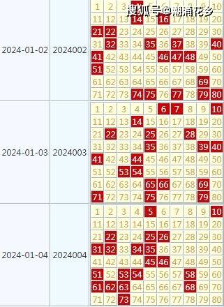 2024年天天开好彩资料,动态调整策略执行_复古款38.156