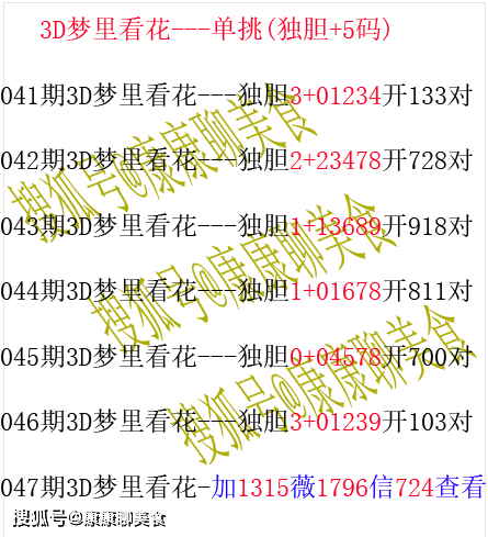 118开奖站一一澳门,全面数据策略解析_FHD版13.337