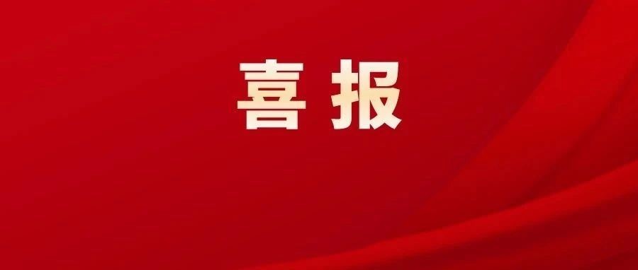 2024新澳门王中王正版,诠释解析落实_mShop16.506