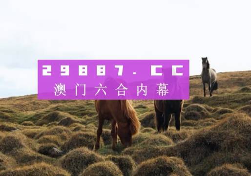 旧澳门开奖结果+开奖记录,最佳精选解释落实_Executive40.45