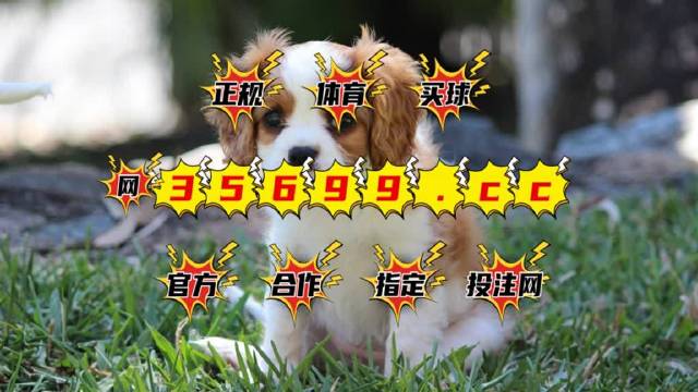 2024澳门特马今晚开奖亿彩网,最新正品解答落实_豪华版95.602