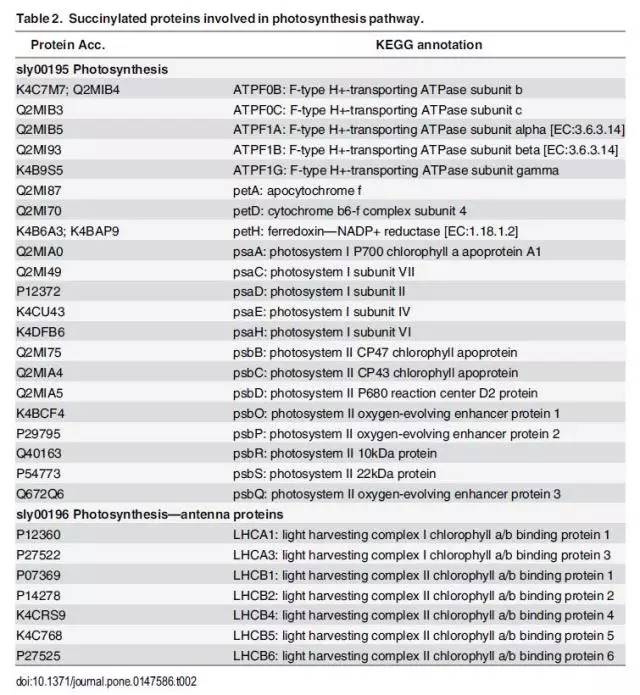 2024新澳免费资料大全penbao136,系统化评估说明_FT27.748