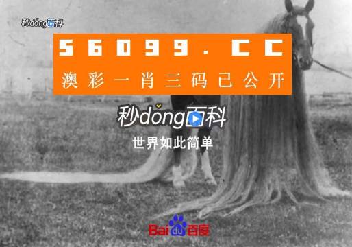 一肖一码一必中一肖,精细化计划执行_Windows18.867