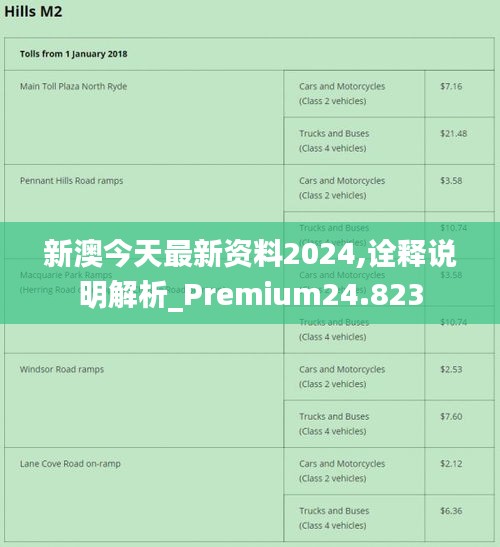 2024新澳精准,正确解答落实_Lite20.373