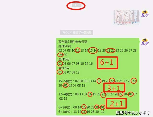 白小姐今晚特马期期准六,动态解析词汇_7DM80.882