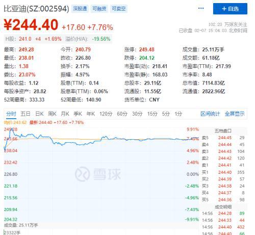 2024年12月19日 第13页