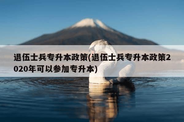 最新部队专升本政策及其对部队发展的积极影响