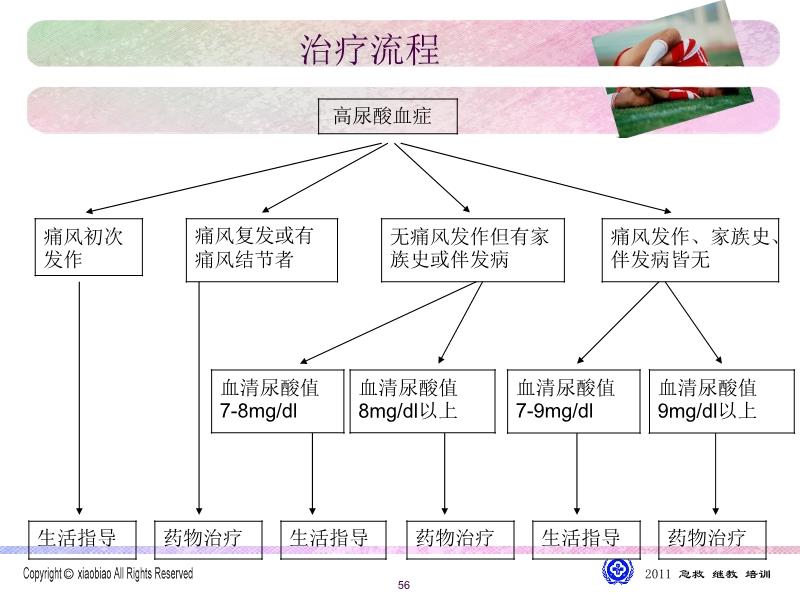 痛风治疗最新指南解析