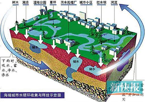 海绵城市最新资讯，探索绿色发展前沿动态