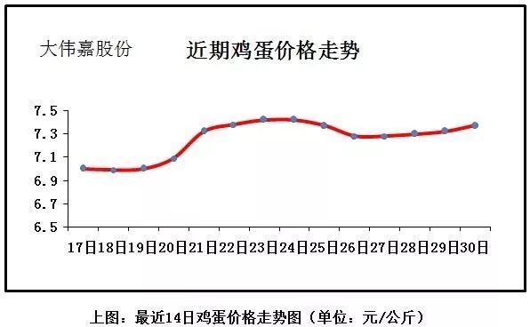 邢台鸡蛋最新价格动态分析与趋势预测