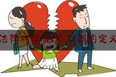 法律视野下的深度解读，最新婚姻法第三者解读与探讨